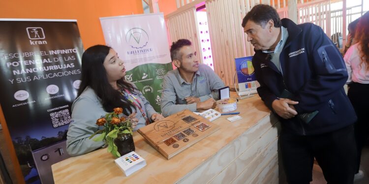 Expo Chile Agrícola 2024 cierra con más de 40 mil visitas durante sus dos jornadas