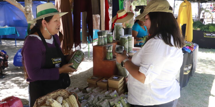 Conmemoran el Día Internacional de las Mujeres Rurales en Pozo Almonte