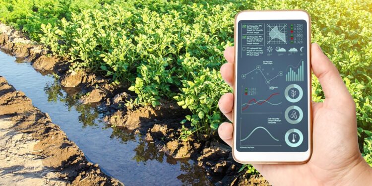 Corfo abre convocatorias para entregar 584 becas de especialización en el sector Agrícola y Silvoagropecuario