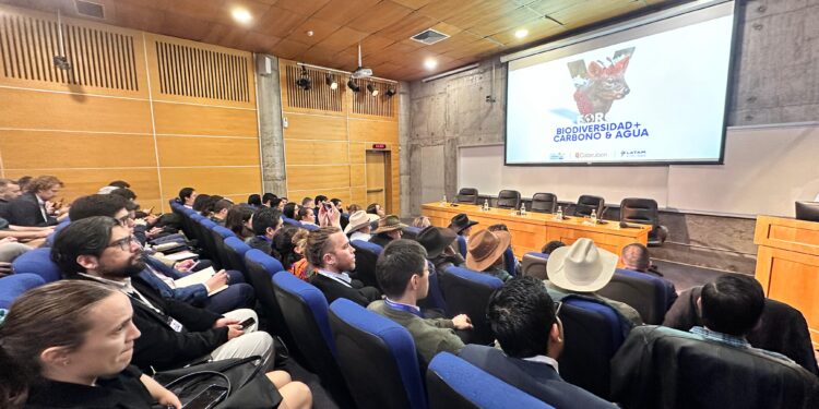 Mercados de carbono y mitigación del cambio climático: Expertos analizan y proponen soluciones para Chile y la región