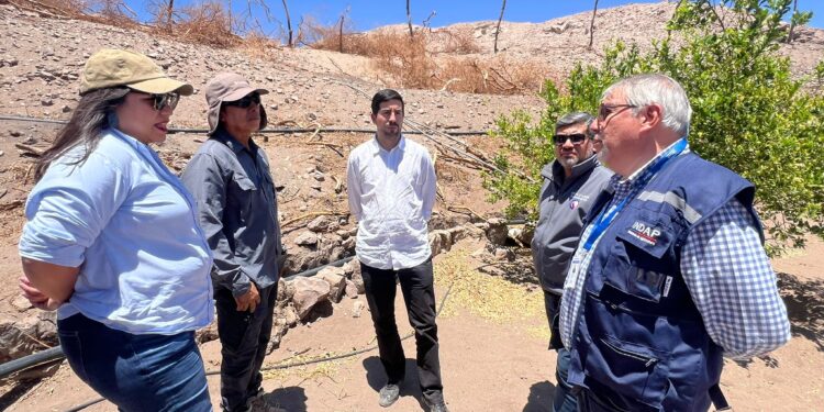 Más de 500 familias de Tarapacá con conectividad de internet satelital impulsado por Hughes e INDAP