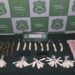 Carabineros allanó domicilio en el cual se dedicaban a la venta de drogas