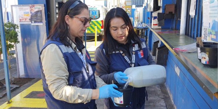 Salud aumenta vigilancia del Aedes aegypti en Mejillones