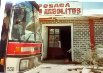 Los Arbolitos, Sonia Pereira Torrico