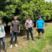Grupo Hijuelas acelerará la producción de palta en Latinoamérica con tecnología australiana de punta