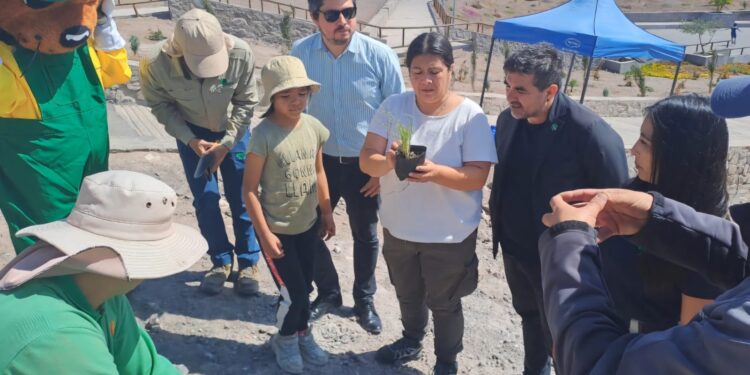 MINVU y SERVIU firman convenios con CONAF para forestar parque Santa Rosa de Alto Hospicio