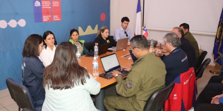 Delegada presidencial destacó trabajo de distintos actores en tema migratorio en Colchane