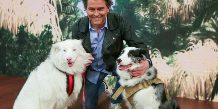 TVN define fecha de estreno de su nuevo programa “Acción Animal”, conducido por Sebastián Jiménez