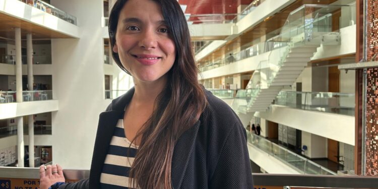 Desafíos en la prevención de la violencia y el acoso escolar: una mirada desde la formación inicial docente