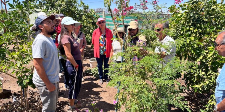 Escuelas de campo fortalecen la agricultura sostenible en la región de Tarapacá