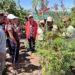 Escuelas de campo fortalecen la agricultura sostenible en la región de Tarapacá