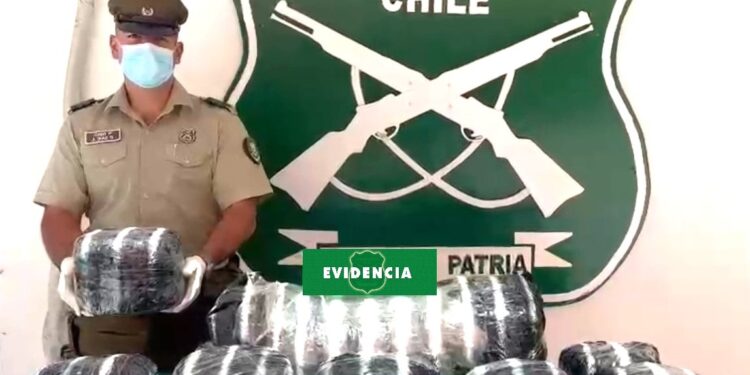 Pasajero llevaba en su equipaje más de 42 kilos de marihuana / Detenido en Huara