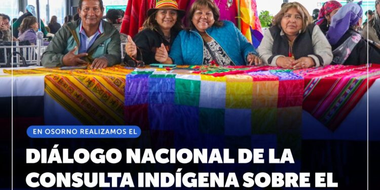 Ministerio de Energía realiza Diálogo Nacional de la Consulta indígena sobre el reglamento de la ley de biocombustibles sólidos