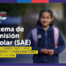 Sistema de Admisión Escolar (SAE): Quiénes deben participar del período complementario de postulación a colegios