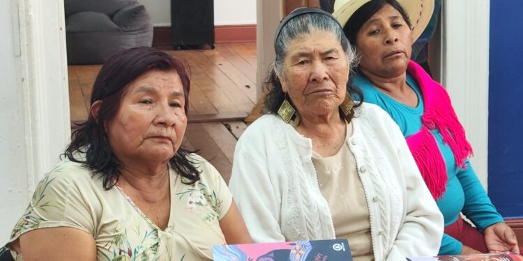Saratan: mujeres parteras y cultoras tradicionales se organizan en Tarapacá para rescatar saberes ancestrales