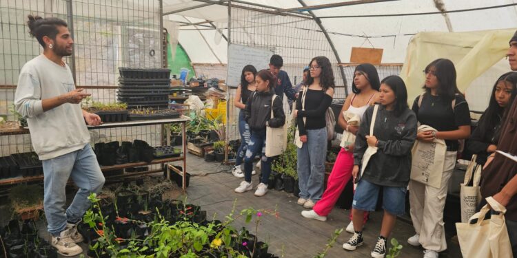 Proyecto Xerojardinería Promueve Áreas Verdes Sostenibles