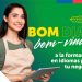 Sence y Open English abren inscripción para cursos gratuitos de inglés y portugués