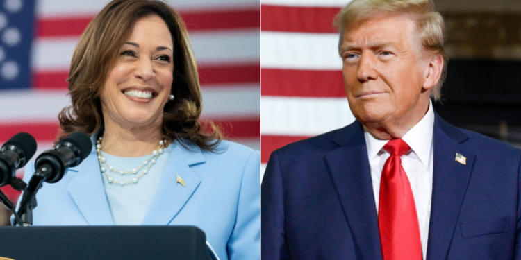 Kamala Harris vs. Donald Trump: qué dicen las encuestas finales y cómo va la carrera en los 7 estados que decidirán la elección