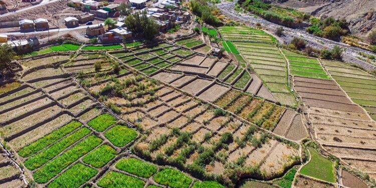 Rector UNAP presentó potencialidades de Iquique y Tarapacá durante foro cultural en China
