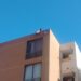 Salvan a mono ardilla de caer desde un sexto piso de edificio en Alto Hospicio