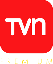 TVN explica pérdidas 2024 y plantea prioridades 2025