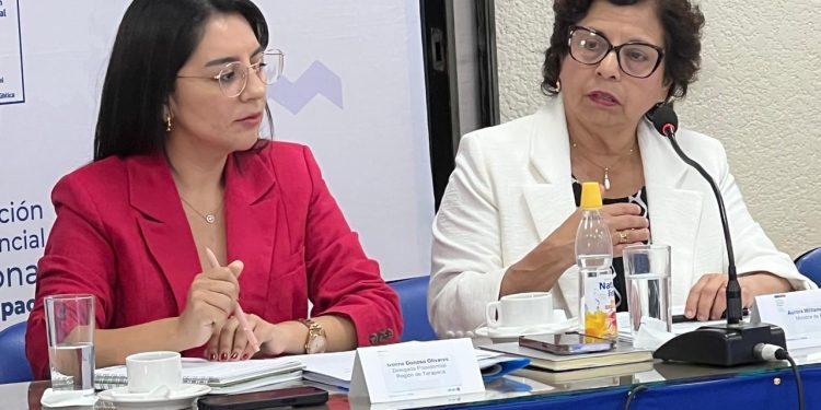 Ministra de Minería en Tarapacá: “Hemos presentado dos iniciativas de ley que buscan acortar tiempos de tramitación de los proyectos”