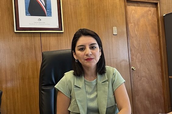 Delegada Presidencial: “Buscamos consolidar una economía más justa y diversificada”