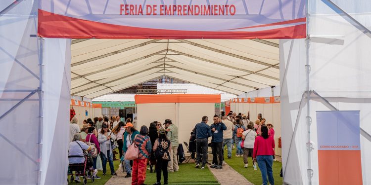 Emprendedores de Iquiuca, Mamiña, Parca y Quipisca recibieron apoyo de BHP para fortalecer sus negocios