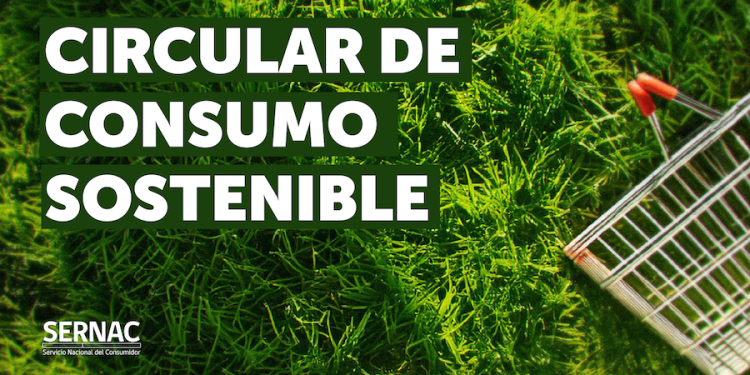 Greenwashing y durabilidad de productos: Lo que debes saber sobre la circular de consumo sostenible de sernac