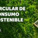 Greenwashing y durabilidad de productos: Lo que debes saber sobre la circular de consumo sostenible de sernac