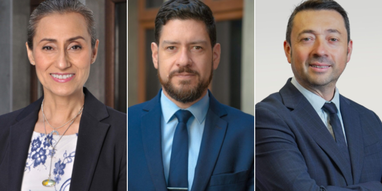 Quiénes son los jueces tras el duro fallo que revivió Dominga y fustigó al Comité de Ministros