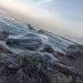Tarapacá: Sernapesca activó protocolos por el varamiento de una ballena azul en la playa Río Seco