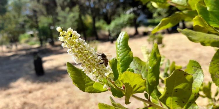 Catalina Cortés, meteoróloga de la DMC: “La Niña aún podría llegar y, para ello, el agro debe estar bien informado de los pronósticos agrometeorológicos”