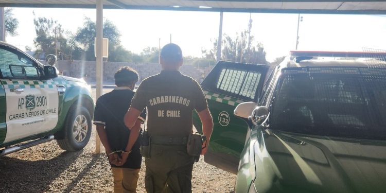 Detienen a hombre que robaba en parcela de La Tirana