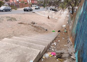 Un poco de cariño