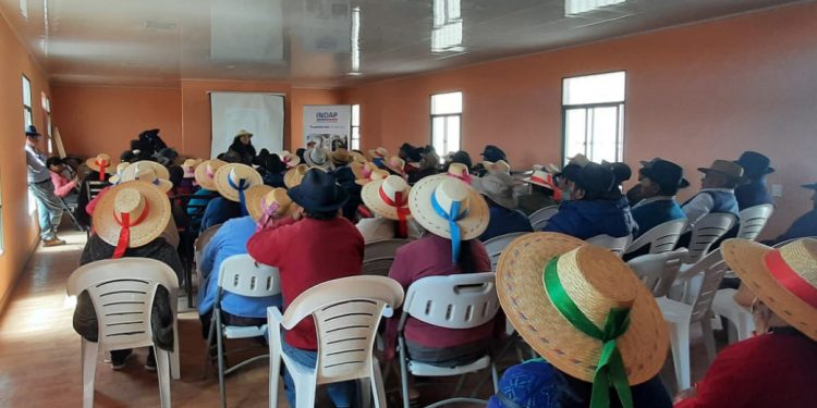 Programa de desarrollo indígena de INDAP profundizará su vinculación con las comunidades de Tarapacá