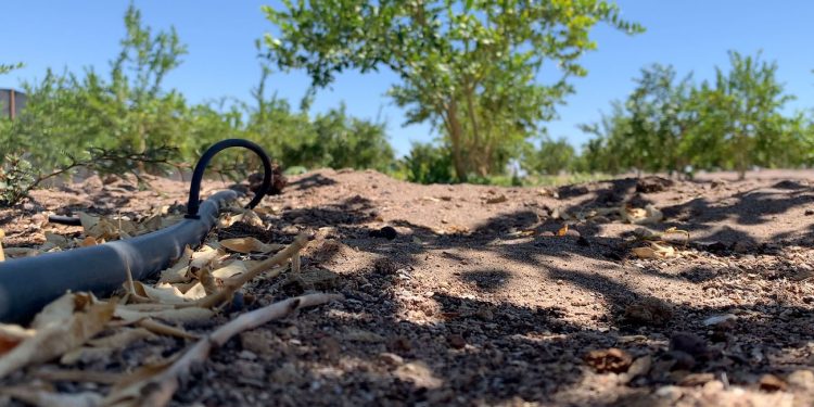 Encargado de riego INDA destaca desafíos y oportunidades en la gestión de regadío