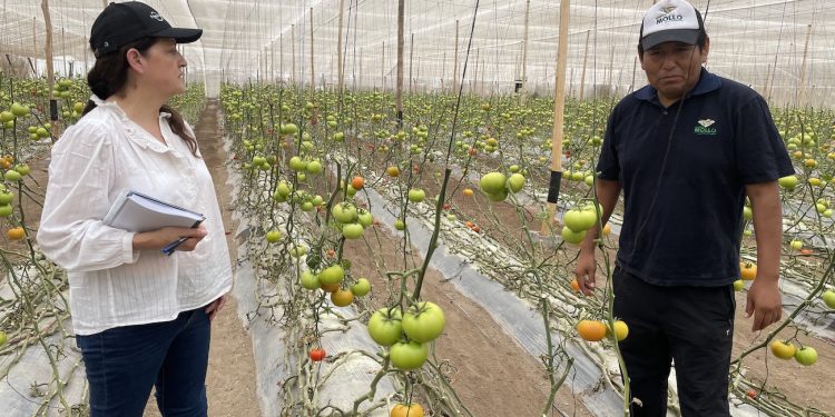 Programa de hortalizas cerró capacitación dirigida a integrantes de la gobernanza