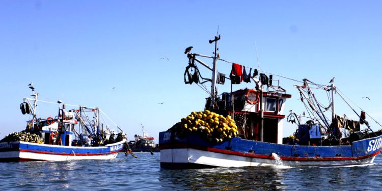 En sesión de Comisión de Pesca del Senado: Artesanales exigen discusión inmediata de ley de fraccionamiento