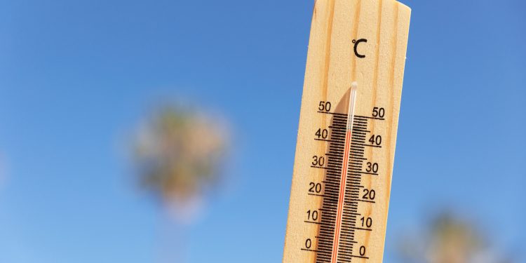 Calor extremo y estaciones desafiantes: El impacto del cambio climático en el verano 