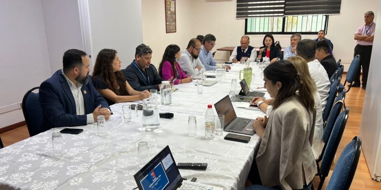 Delegada Presidencial encabezó gabinete regional para avanzar en los desafíos sectoriales