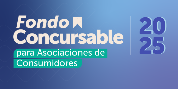 Fondos concursables: Los 46 proyectos financiados por Sernac y los detalles del primer llamado 2025