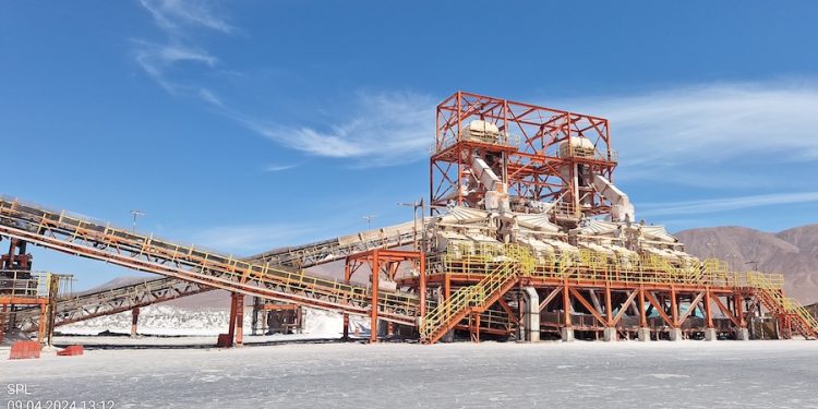 SMA formula cargos contra titular de proyecto Terminal Patillos Sal Lobos-Iquique por afectación a Golondrinas de Mar Negra