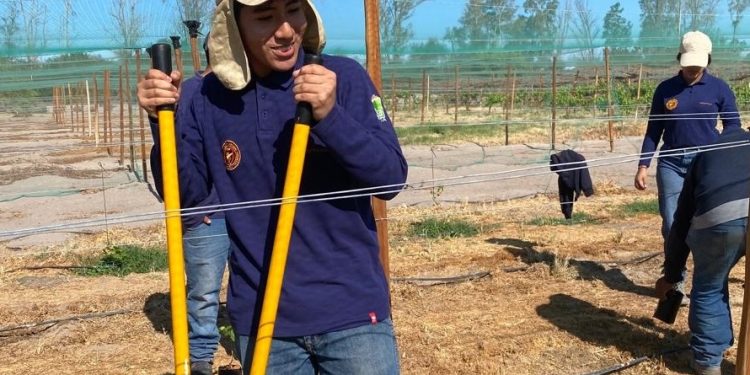 Jóvenes de liceos Juan Pablo II y Padre Alberto Hurtado alcanzaron destacados puntajes en PAES