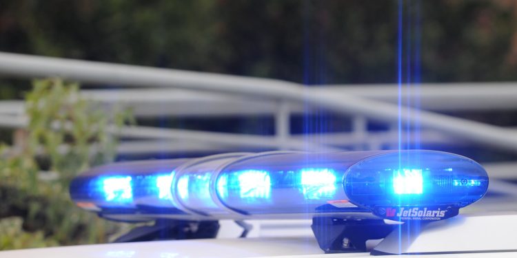 PDI Arica detuvo a mujer imputada por maltrato animal