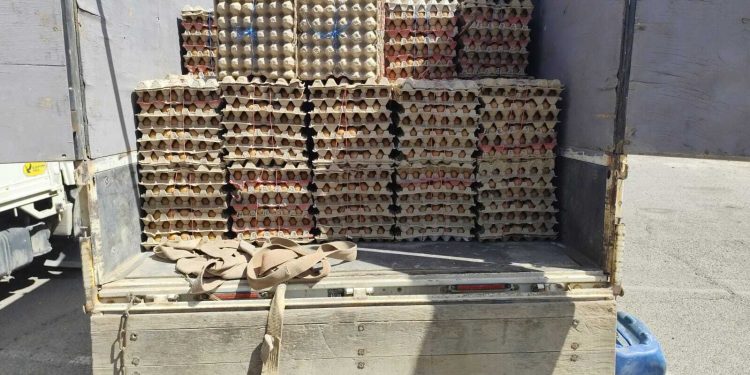 SAG Tarapacá destruye 12 toneladas de productos agropecuarios y 62 mil unidades de huevos de alto riesgo sanitario