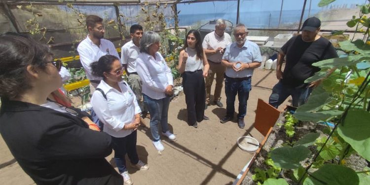 Seremi de Ciencia visita LabAncestral en la Universidad Arturo Prat