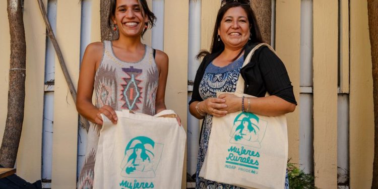 El 68,1% de las participantes del Programa Mujeres Rurales de INDAP y Prodemu aumentó sus ingresos