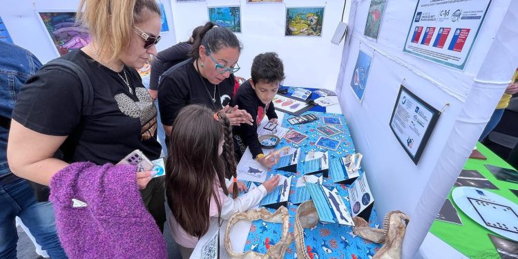 Ministerio de Ciencia entregará 1.100 millones de pesos para proyectos que acercan la ciencia a las personas