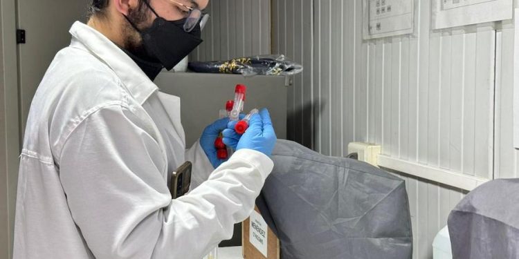 Plan de Vigilancia en la Antártida liderado por Chile: Detectan Influenza Aviar Altamente Patogénica